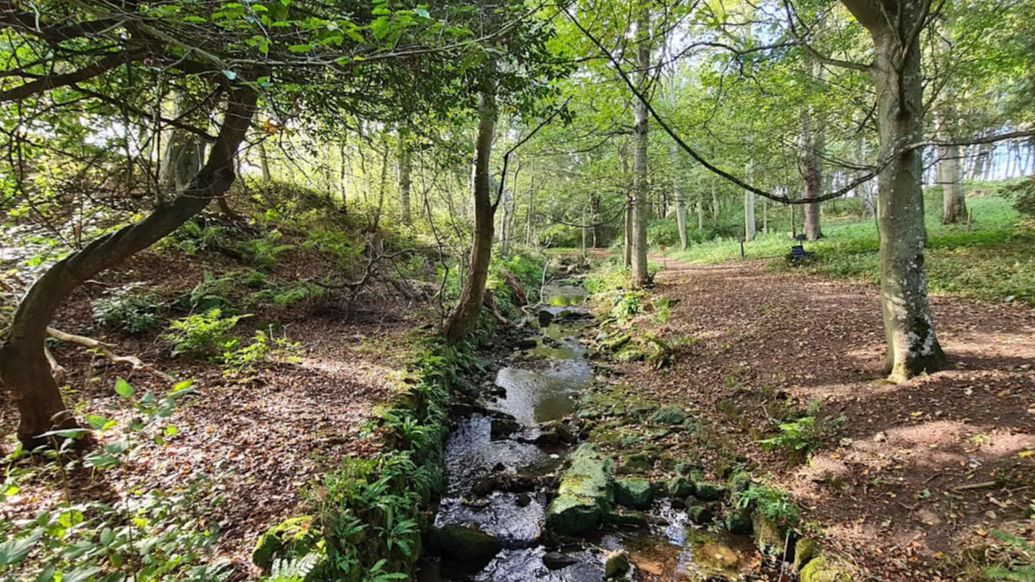 Cambo Otter Ecology Walk