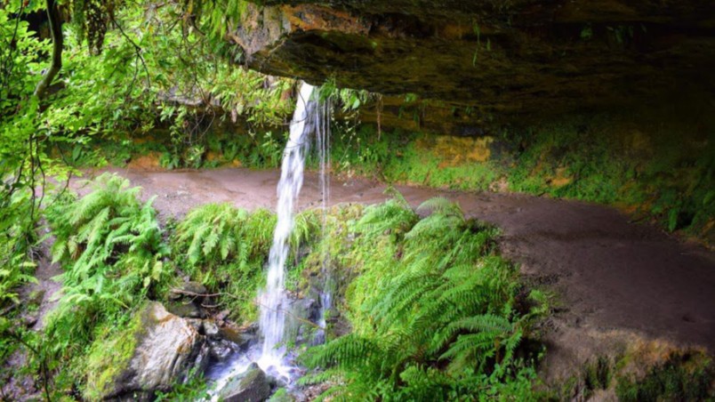 Falkland Centre for Stewardship