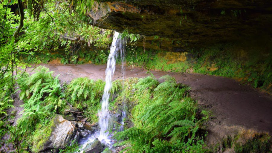 Geology of Maspie Den