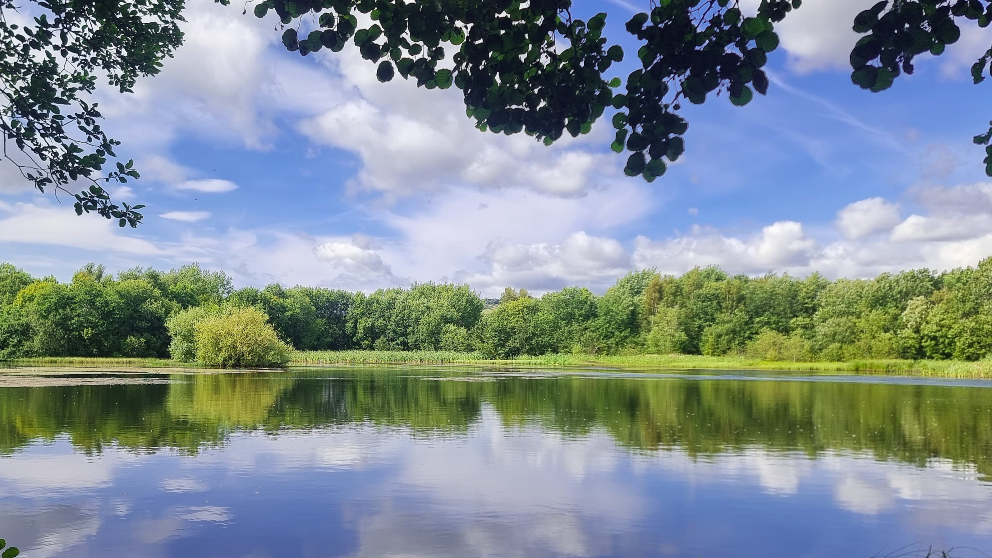 Summer Saunter at Birnie and Gaddon Lochs