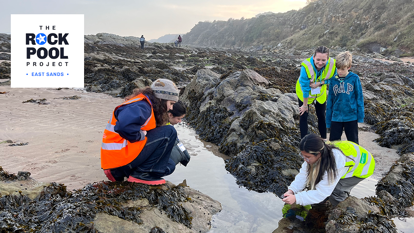 The Big Rock Pool Challenge BioBlitz Battle