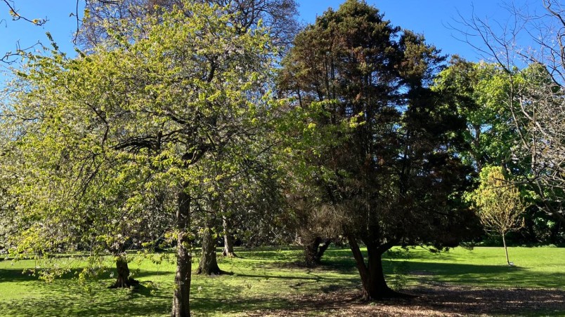 Ravenscraig Park