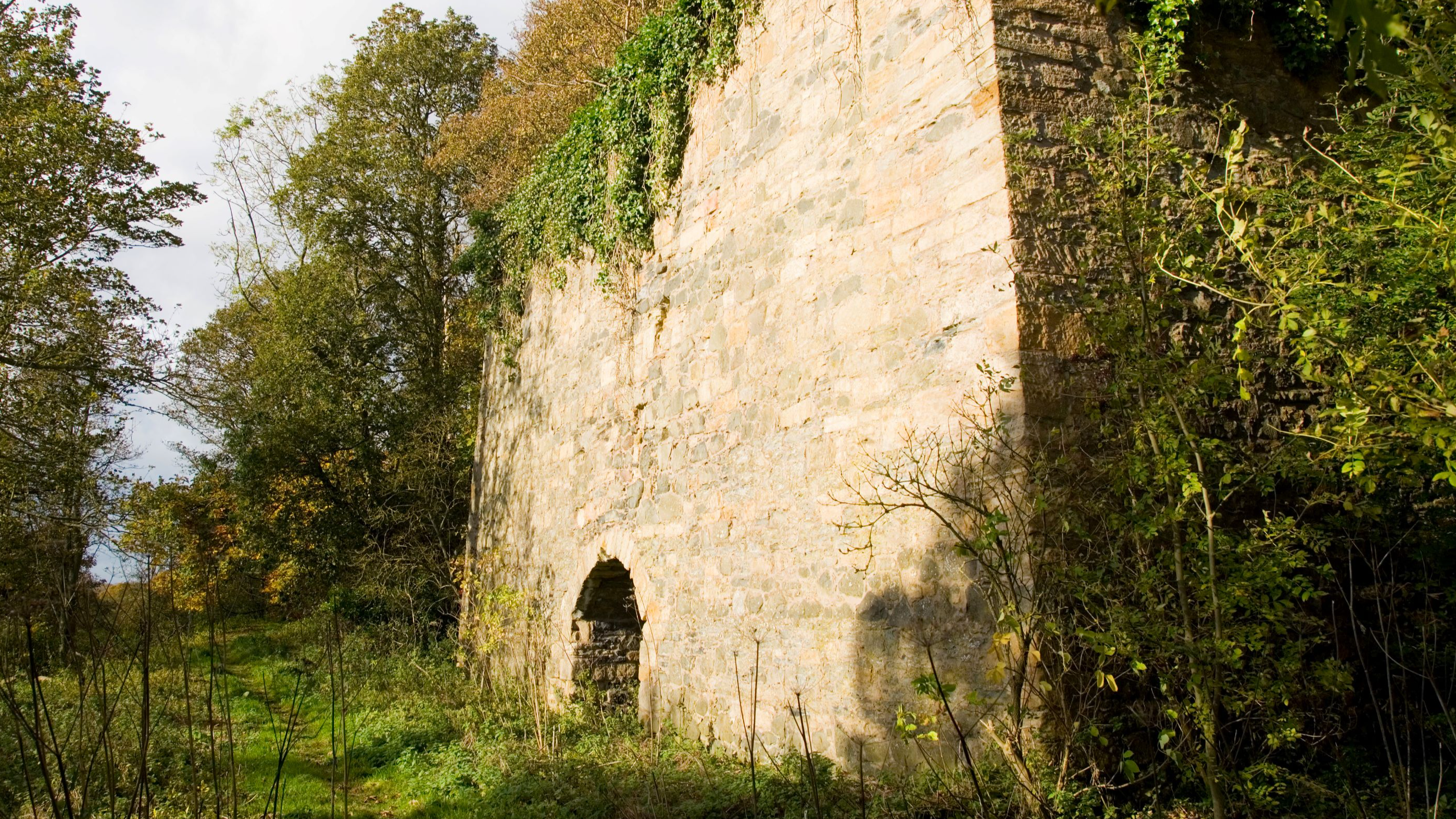 Craighall Den Woodland Wander
