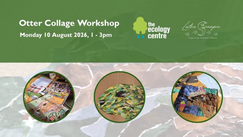 Ecology Centre