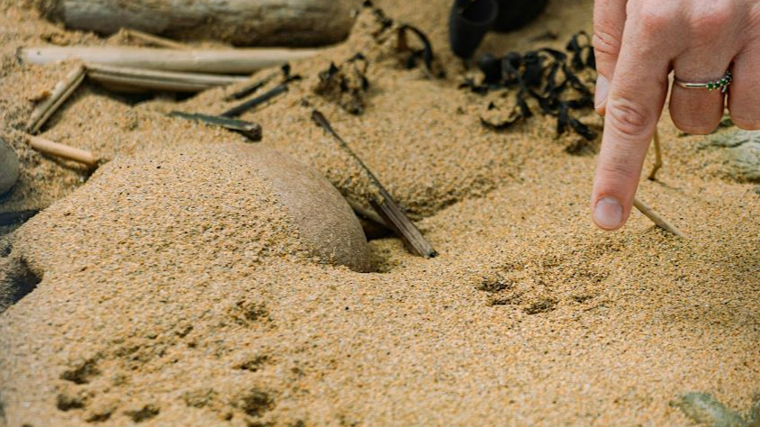 Cambo Otter Ecology Walk