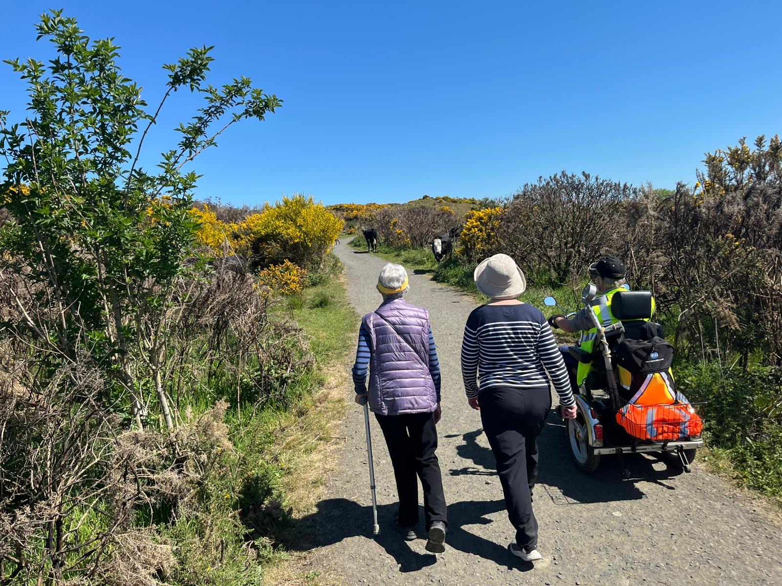 Bums off Seats Sunday  Dunfermline Walk