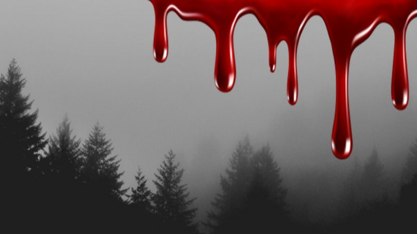 A Body in the Woods