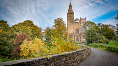 Pilgrimage Walks