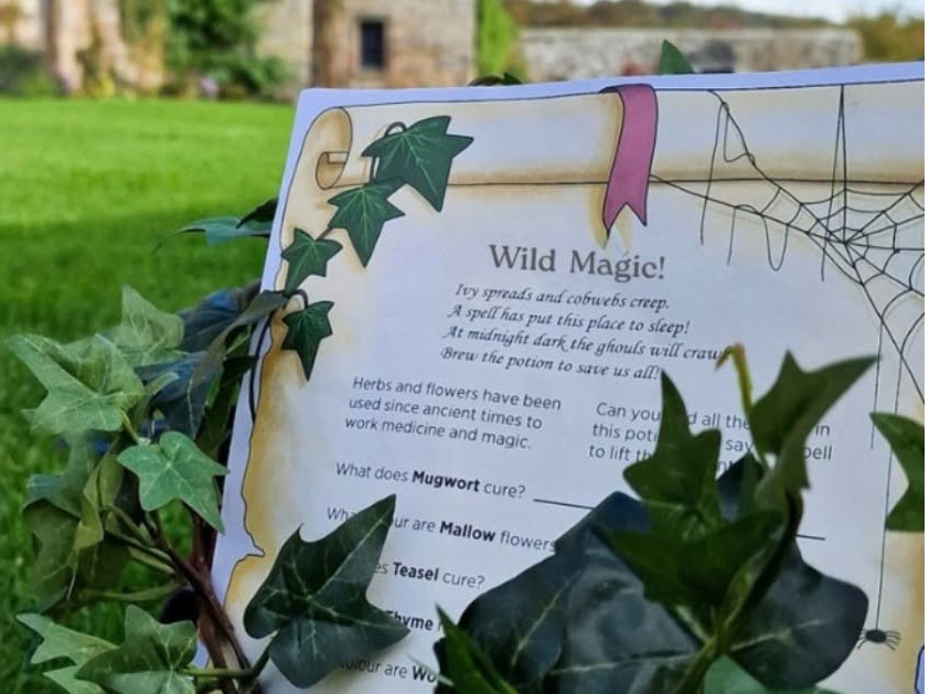 Wild Magic! An autumn family trail at St Andrews Castle