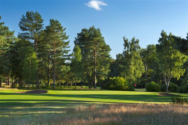 Image for Ladybank Golf Course