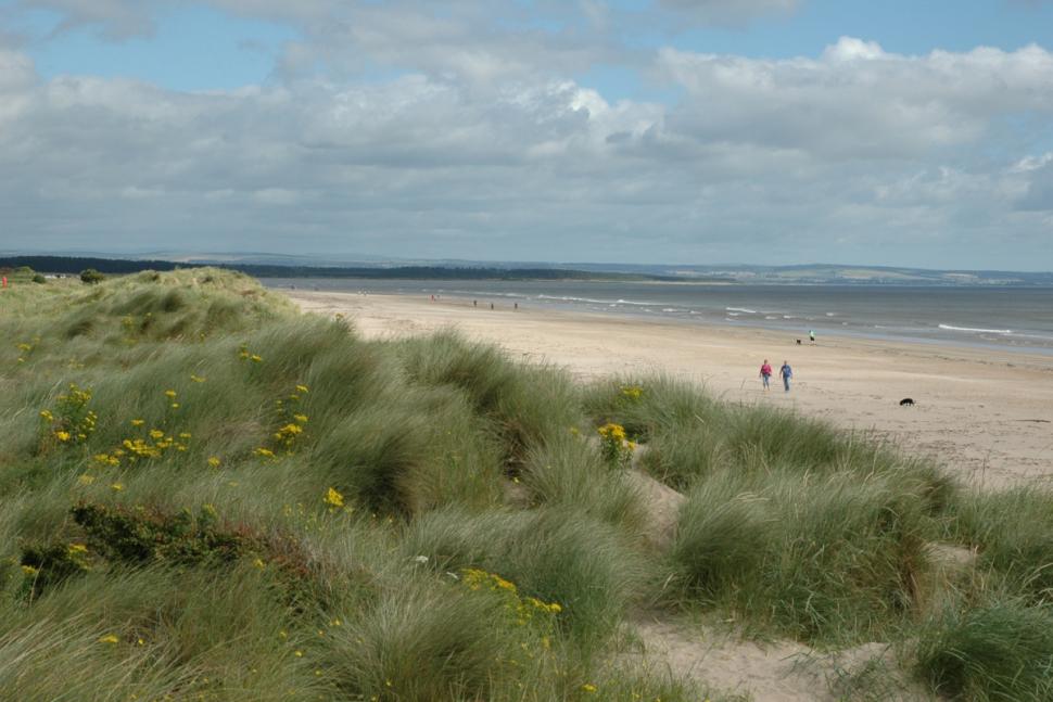 Stroll along West Sands beach