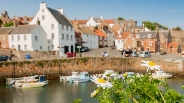 Insider Tips on the East Neuk