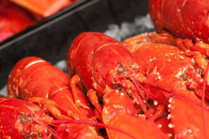 The Lobster Hut, Crail 