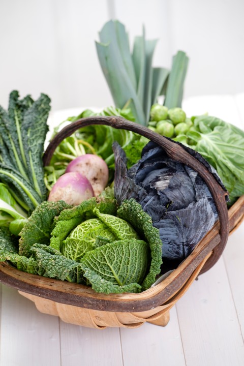 Food basket