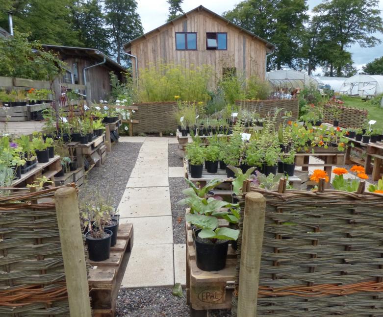 Fife Catering Pillars of Hercules