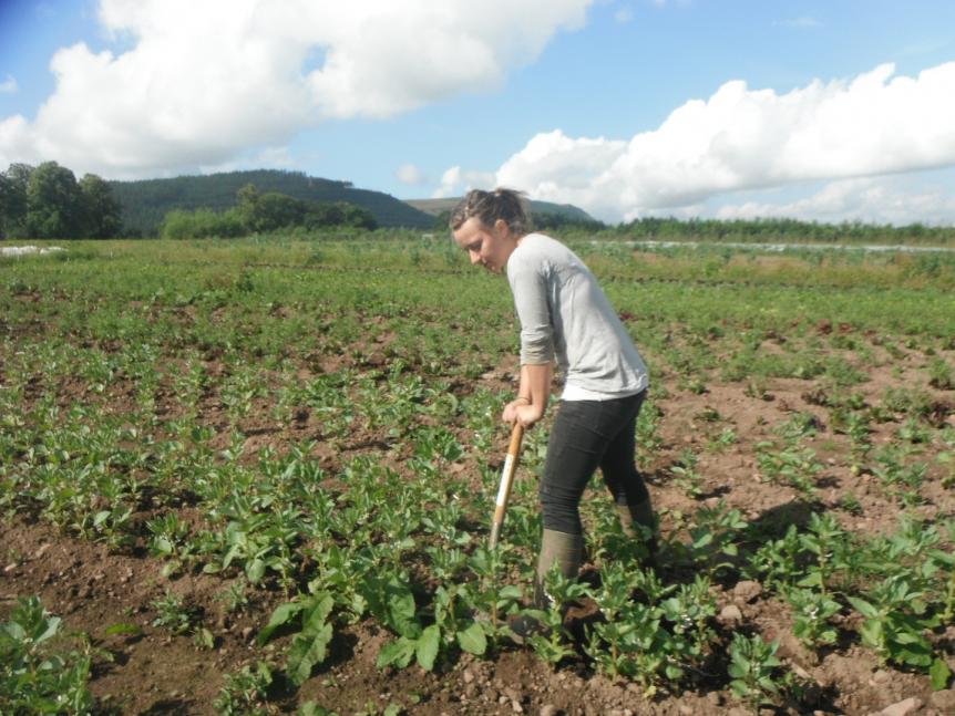 Fife Catering Pillars of Hercules