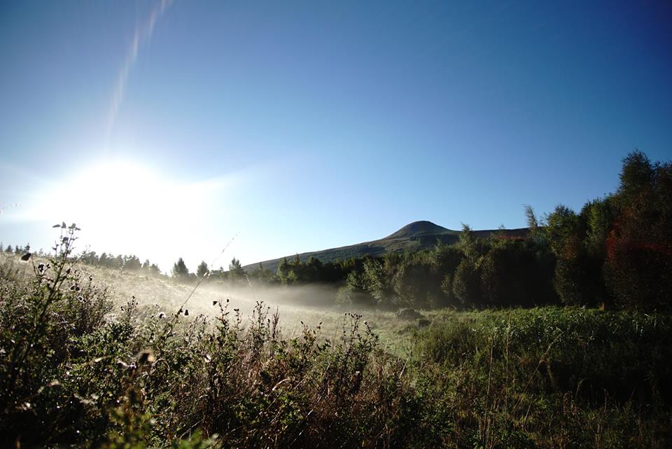 Fife Catering Pillars of Hercules