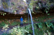 Lomond Hills Walk series 2 - Maspie Den and the Falkland Estate