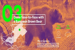 Come face-to-face with a European brown bear
