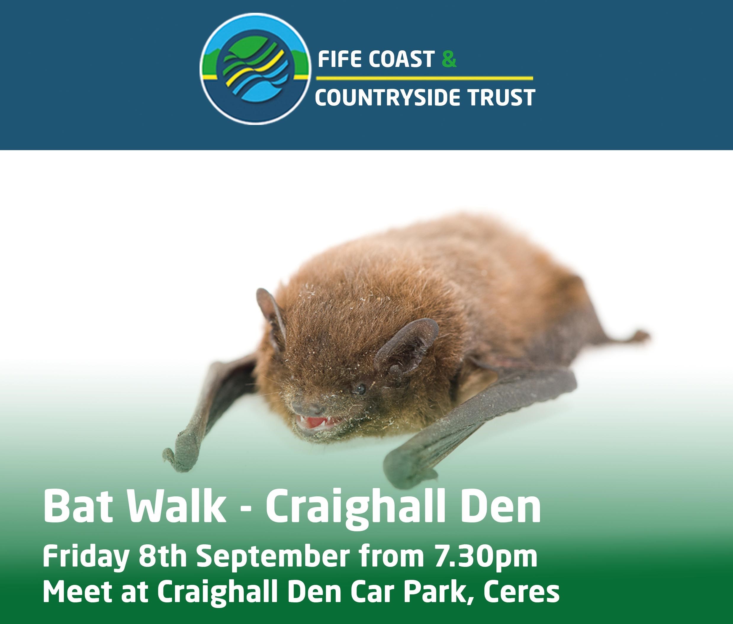 to Fife Bat Walk at Craighall Den
