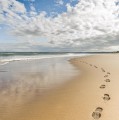 8 of Fife's top outdoor attractions