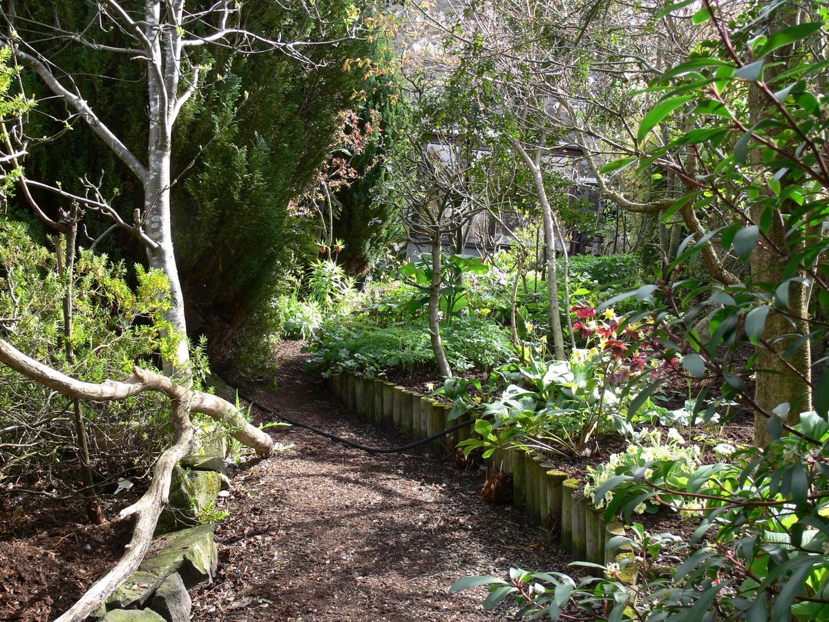 to Fife Charity Garden Opening Hidden Gardens of Newburgh
